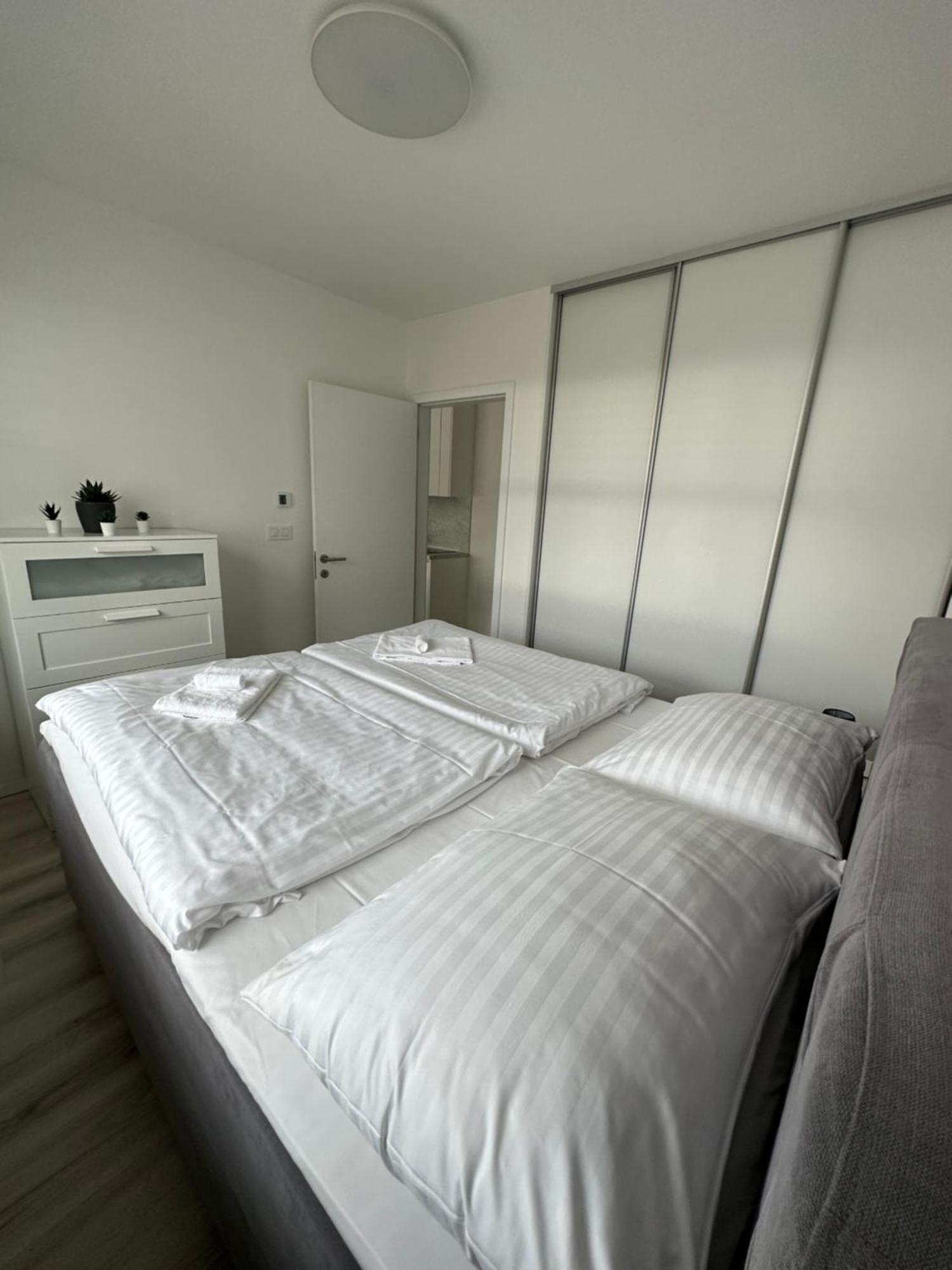 Ein Park Apartment With Free Parking براتسيلافا المظهر الخارجي الصورة